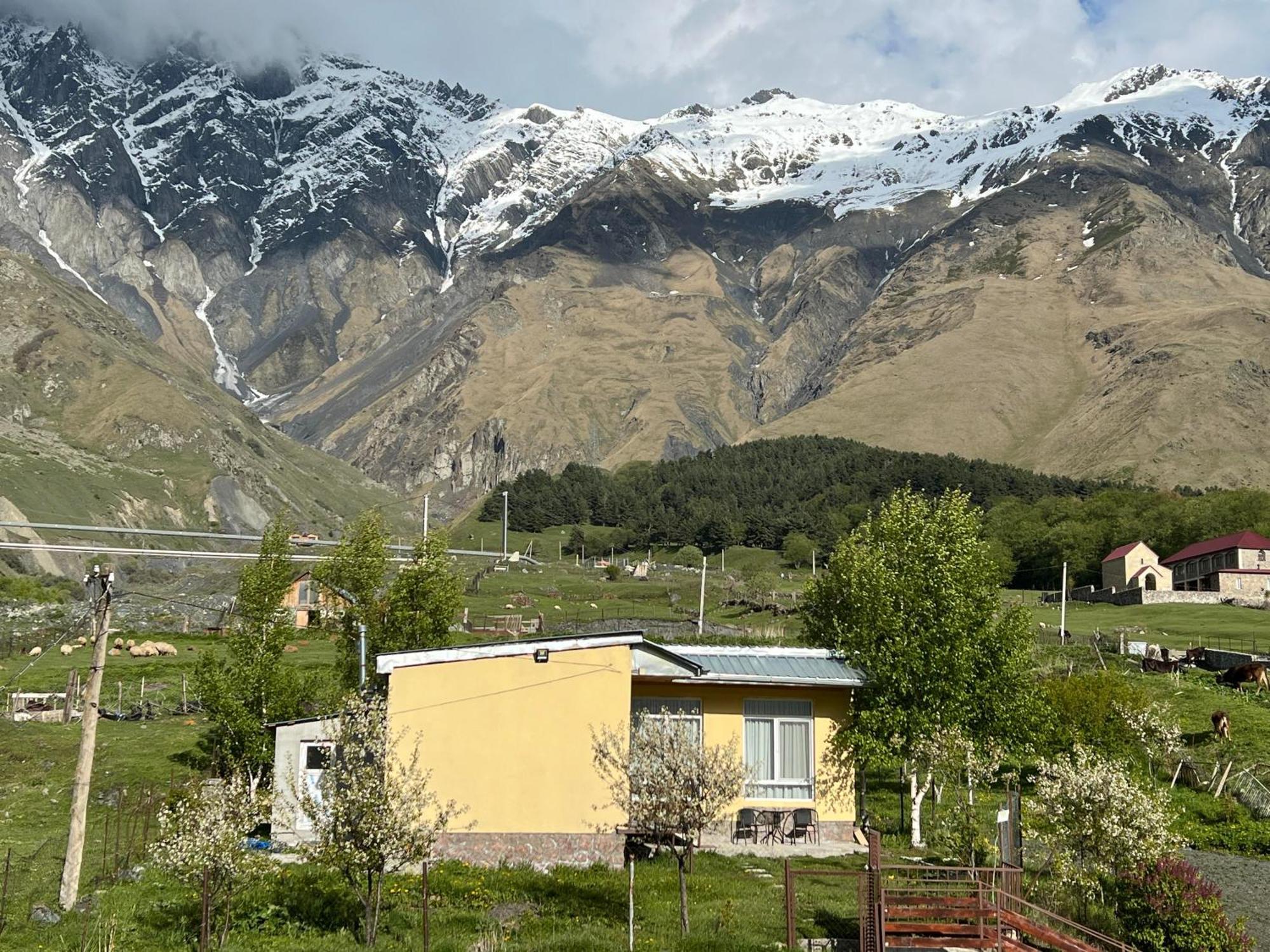 Mountain Kazbegi Apartment Bagian luar foto